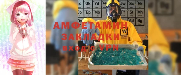 мдпв Гусев