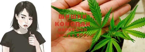МДПВ Гусиноозёрск