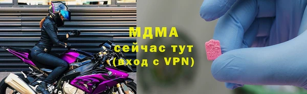 мдпв Гусев