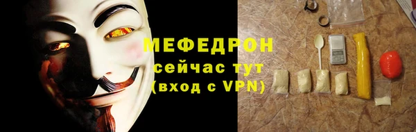 мдпв Гусев