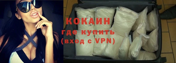 мдпв Гусев