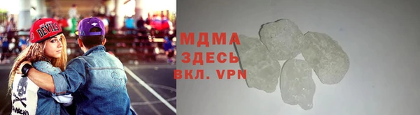 мдпв Гусев