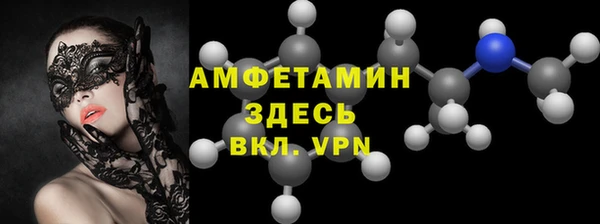 ГАЛЛЮЦИНОГЕННЫЕ ГРИБЫ Гусь-Хрустальный