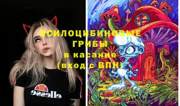 МДПВ Гусиноозёрск