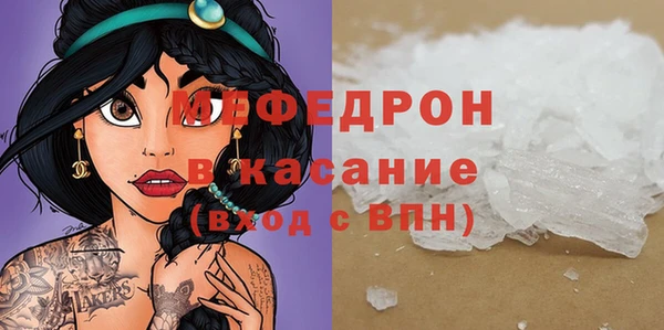 мдпв Гусев