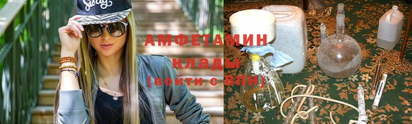 мдпв Гусев