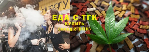 мдпв Гусев