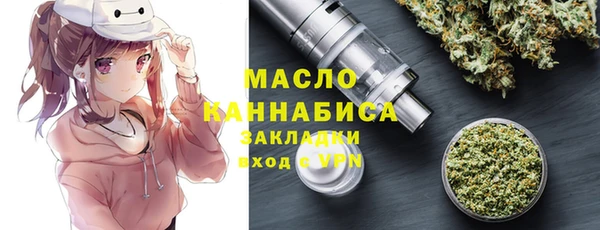 мдпв Гусев