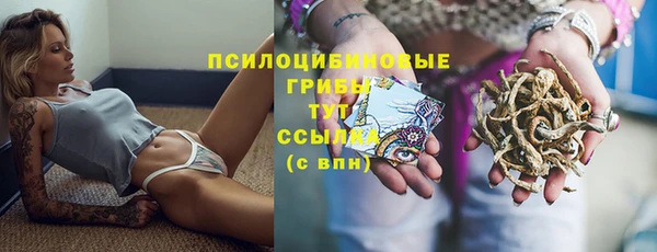 синтетический гашиш Дмитриев